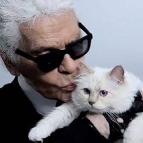 Meta-Gala-7 Meta-Gala-7