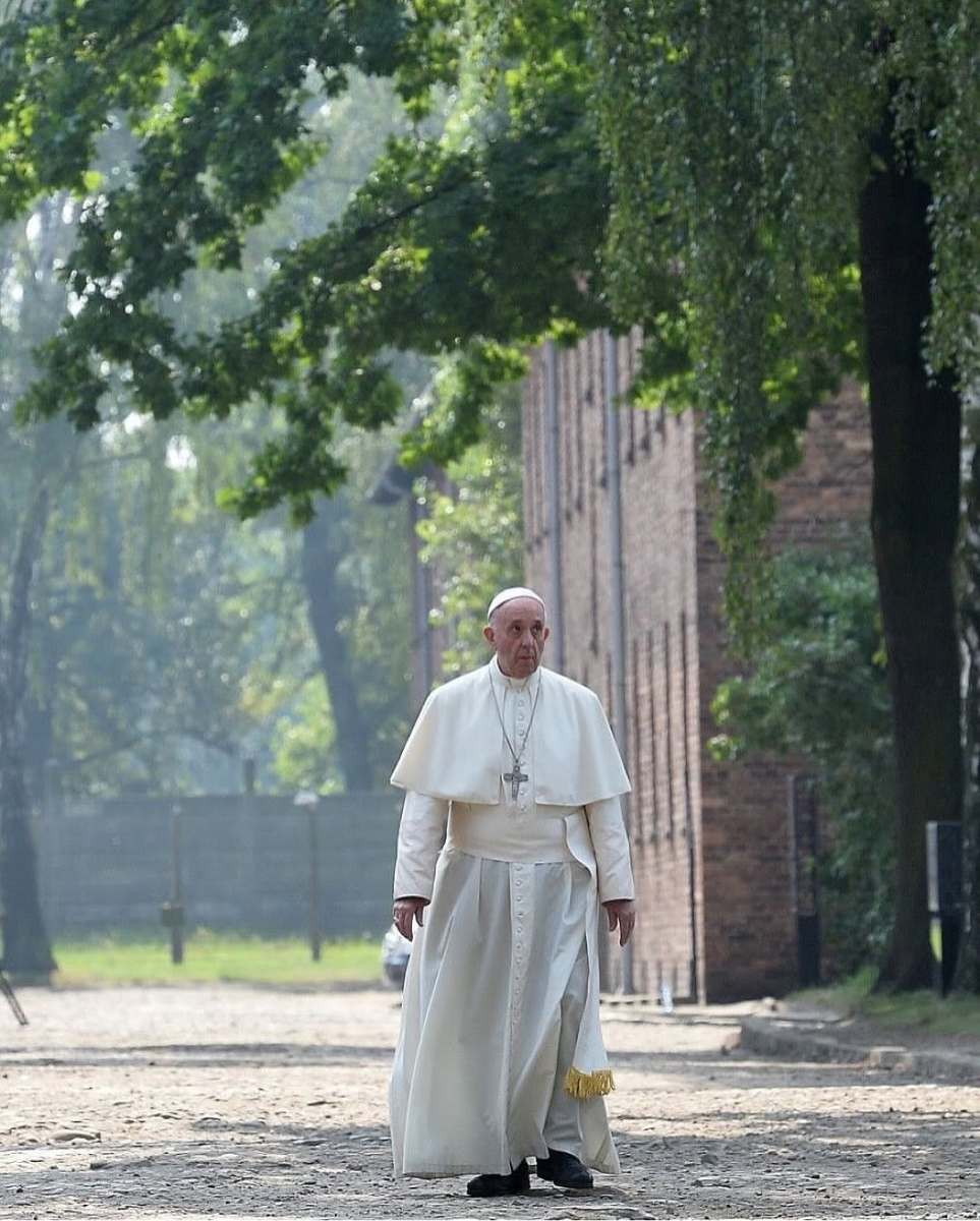 5_Papa 5_Papa